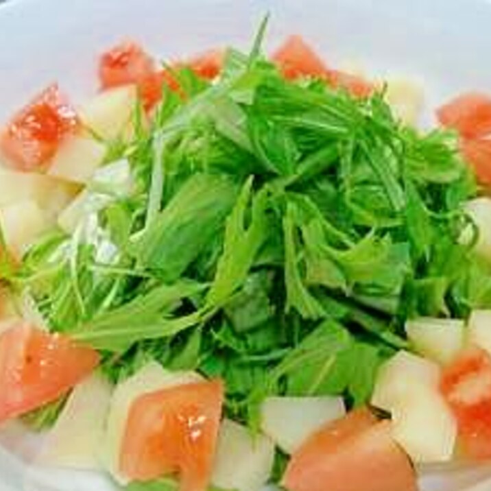 角切りポテトと水菜のサラダ